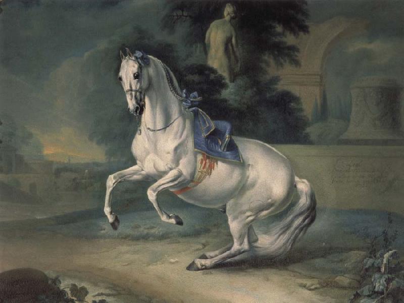 Johann Georg von Hamilton The women stallion Leal in the Levade Germany oil painting art